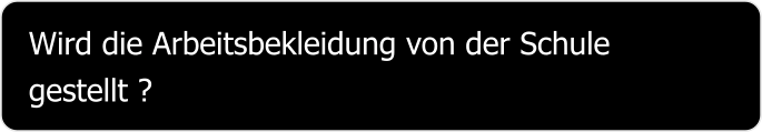 Wird die Arbeitsbekleidung von der Schule gestellt ?