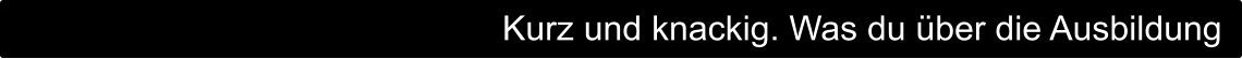 Kurz und knackig. Was du über die Ausbildung